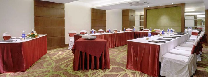 293/The Pride Hotel - Ahmedabad 04.jpg